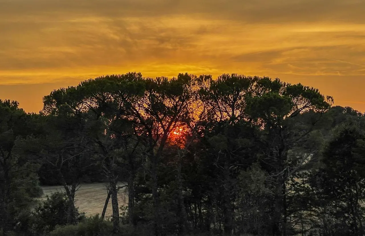 Exclusive Villa With Pool Borgo Pian Di Sala San Gimignano