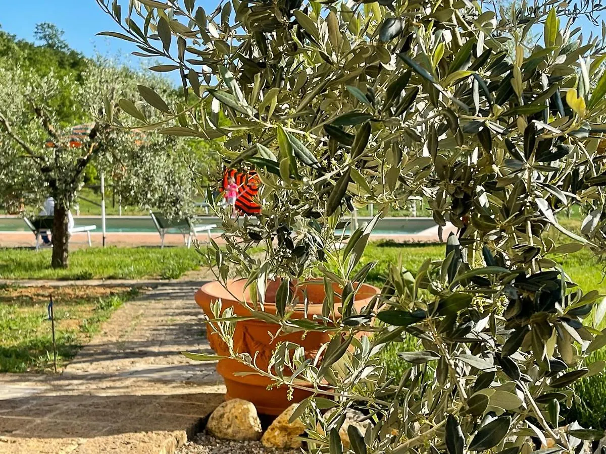 Exclusive Villa With Pool Borgo Pian Di Sala San Gimignano 0*,